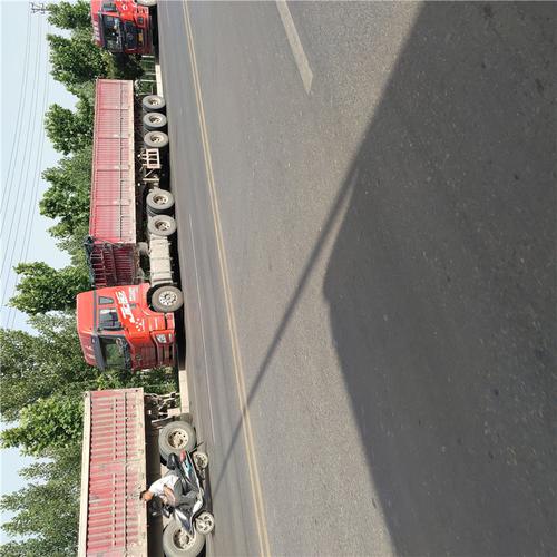 新疆貨運(yùn)信息部貨源群新疆貨運(yùn)信息部貨源群在哪里