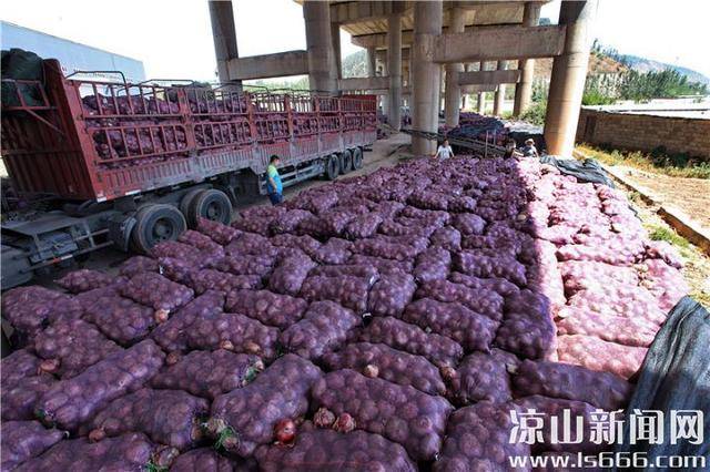 上海到?jīng)錾截涍\(yùn)運(yùn)輸排名上海到?jīng)錾娇爝f要多久