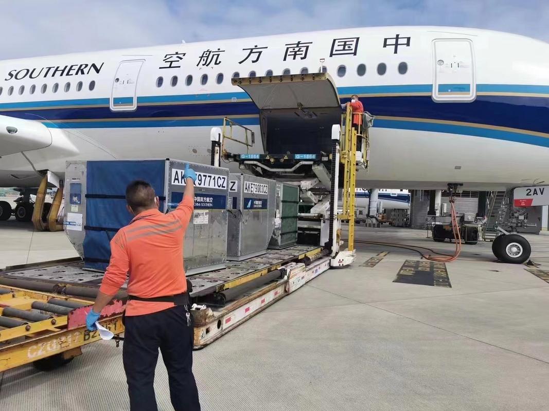 浙江寵物機(jī)場貨運(yùn)中心地址浙江寵物機(jī)場貨運(yùn)中心地址在哪里