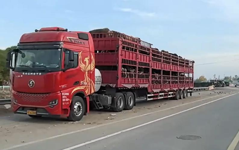 卡車跑貨運(yùn)卡車跑運(yùn)輸